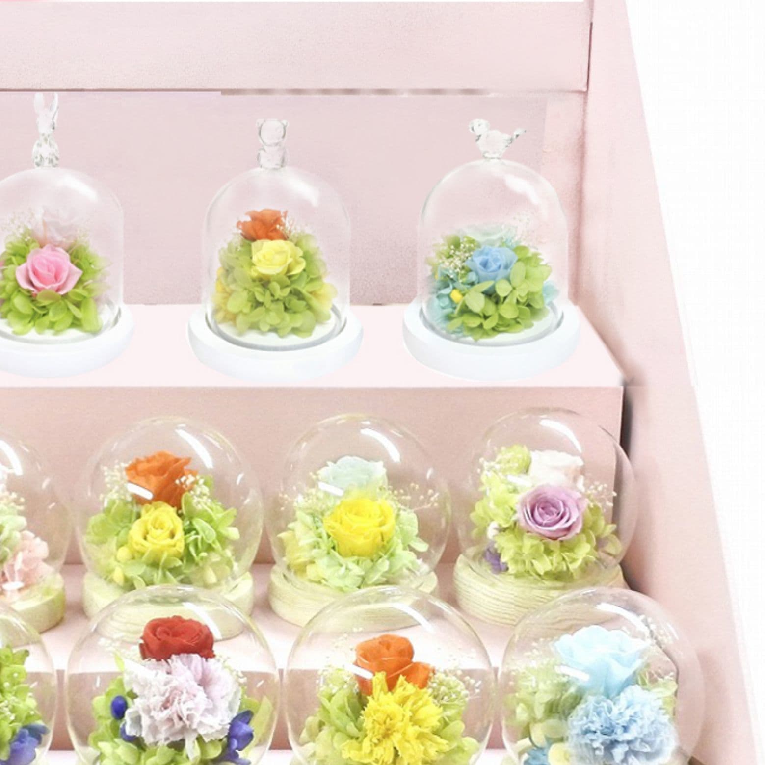 DISPLAY PLATFORM ITEMS (pro-shop)2