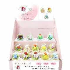 DISPLAY PLATFORM SET