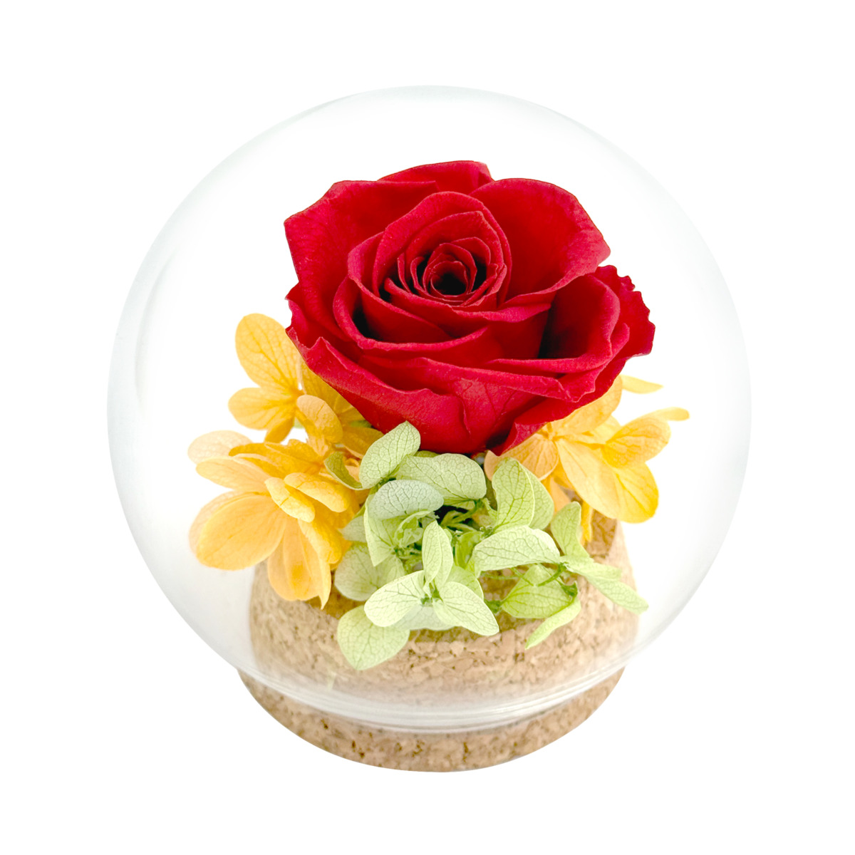 ギフトコルクドーム　レッド