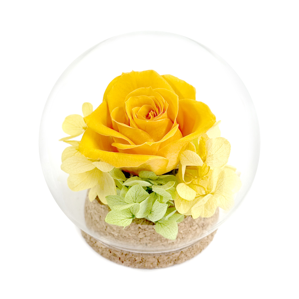 ギフトコルクドーム　オレンジ