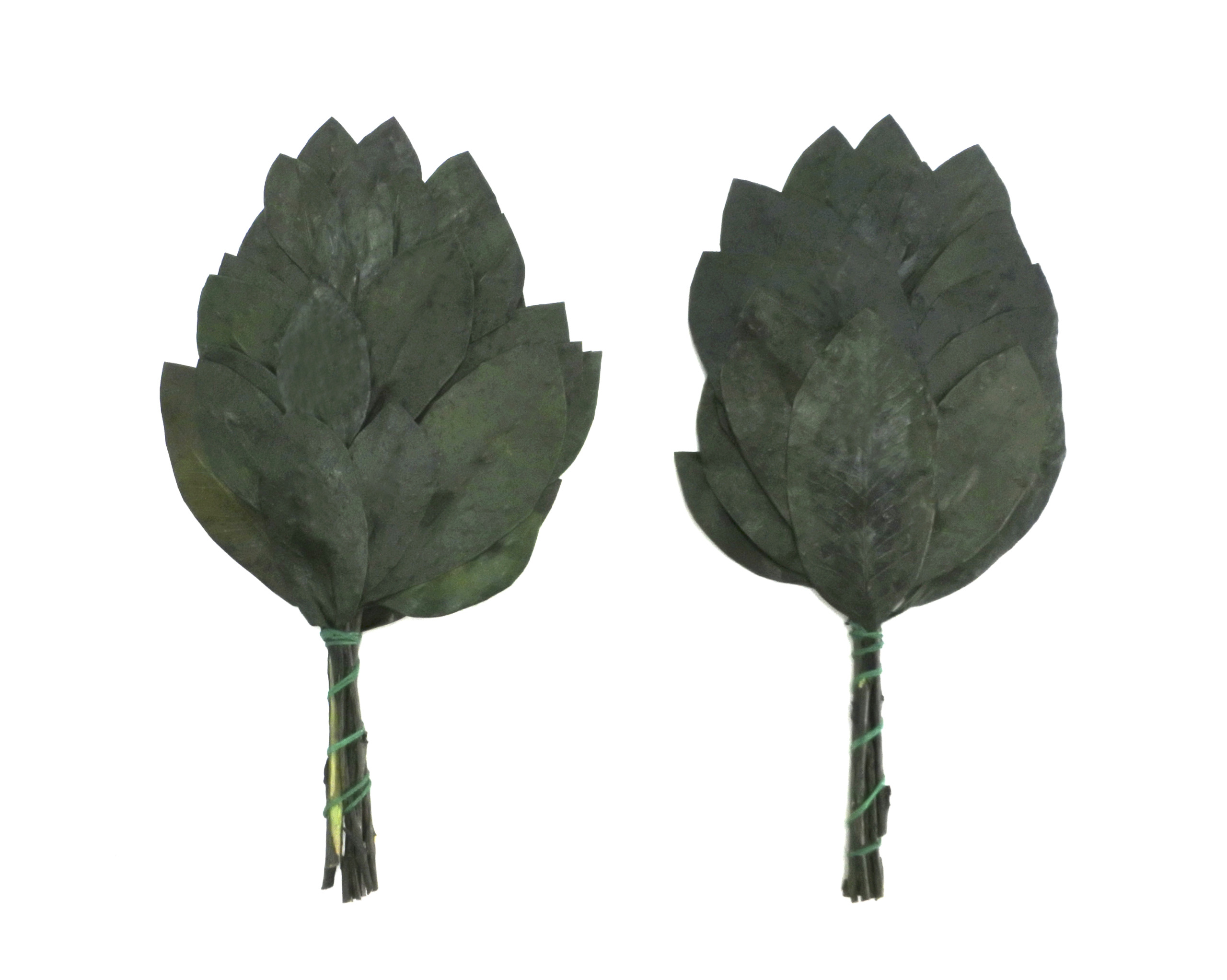 プリザーブド　ミニ榊一対　20ｃｍ