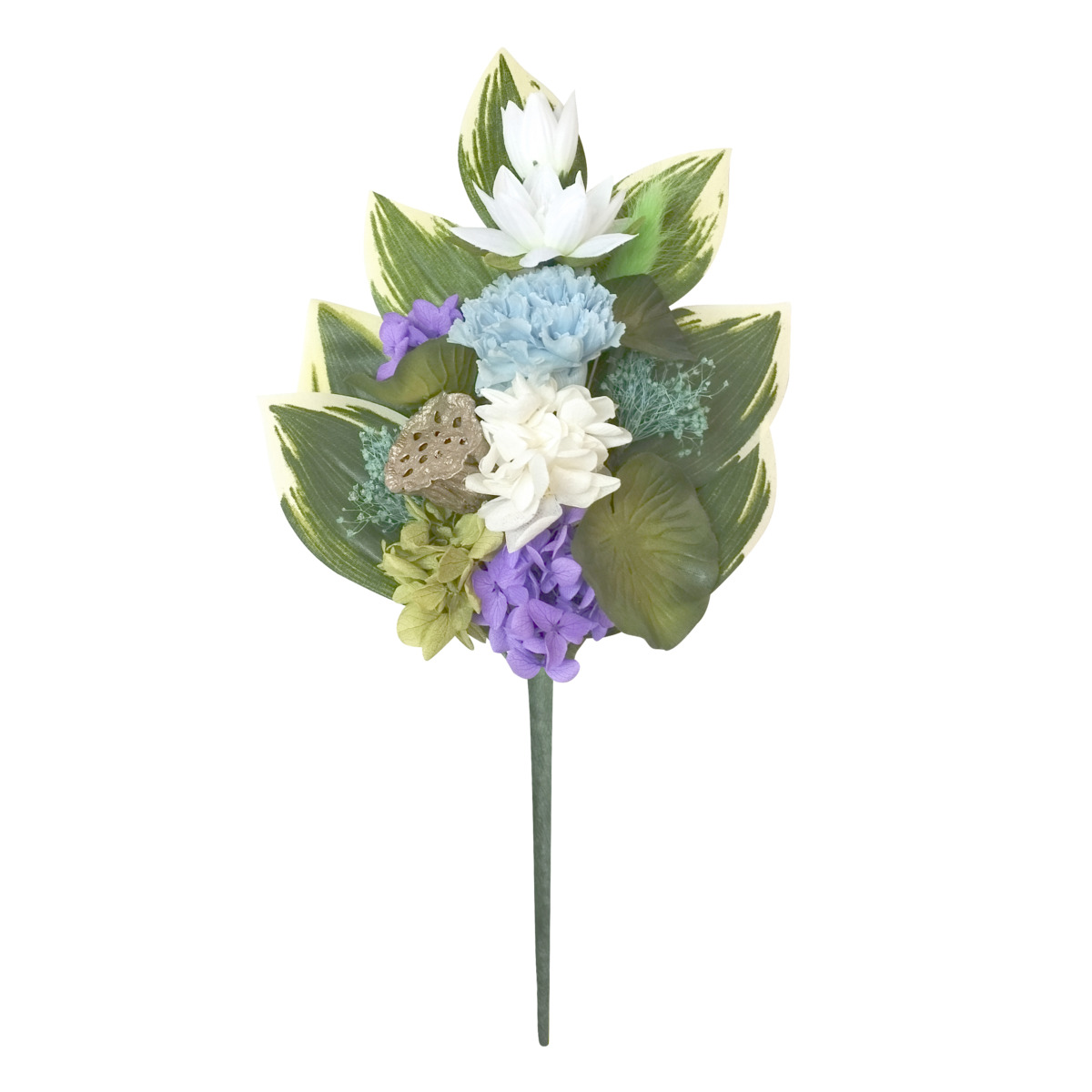 四季仏花　夏ハス