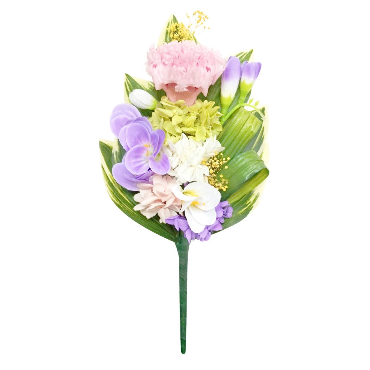 四季仏花　如月　フリージア