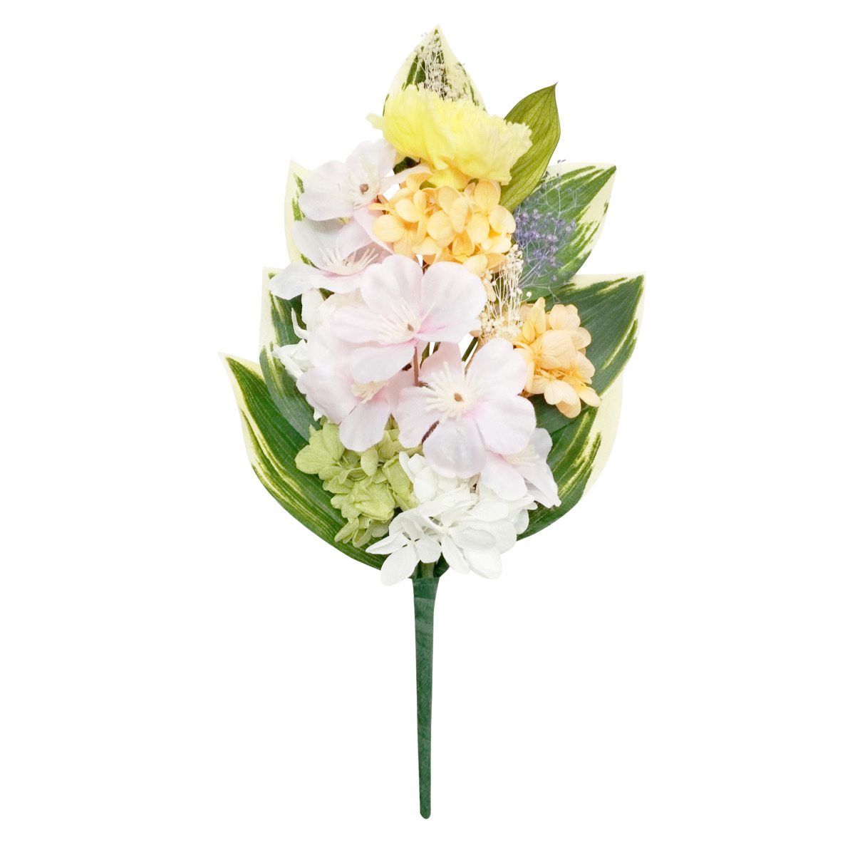 四季仏花　弥生サクラ