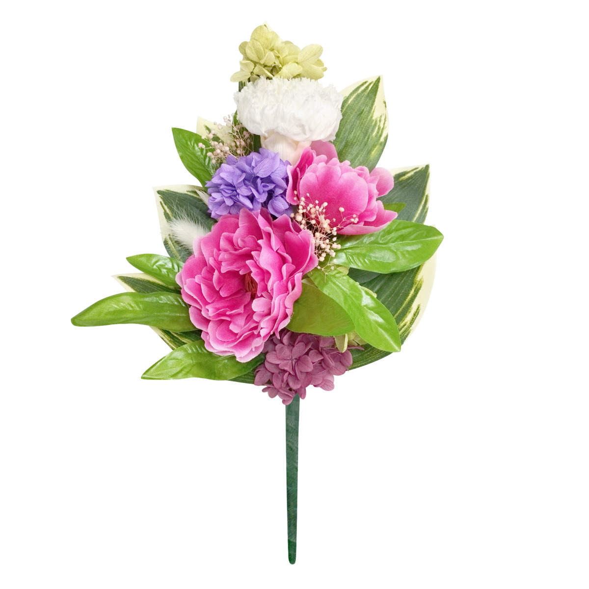 四季仏花　皐月ボタン