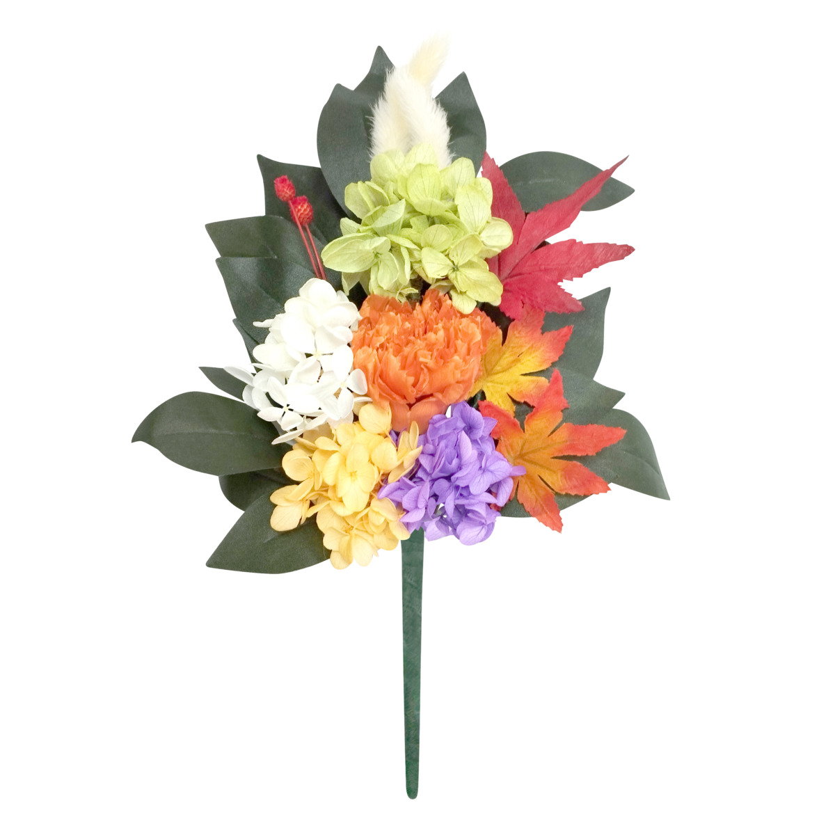 四季仏花　霜月　モミジ