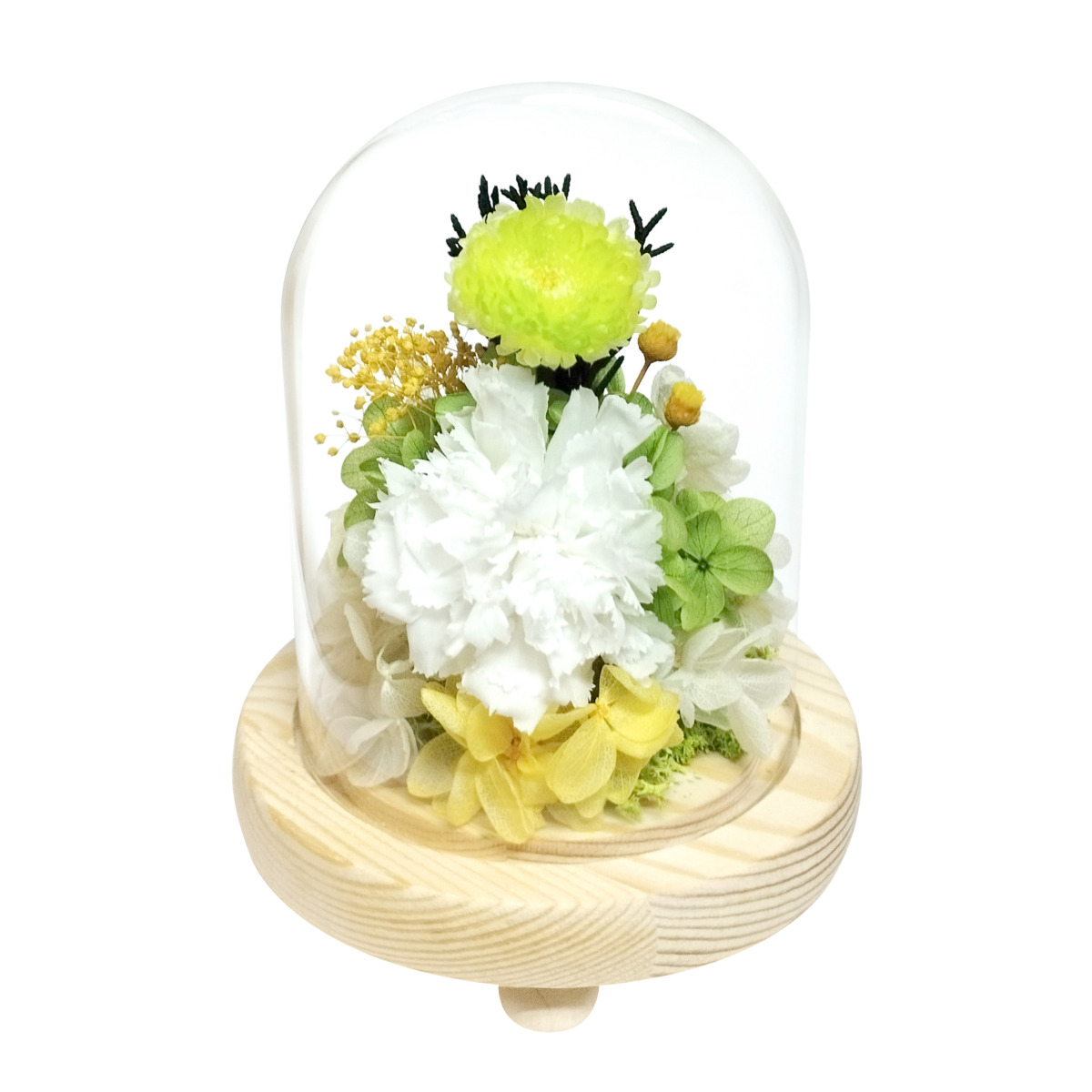 ガラスドームアレンジメント　芽吹